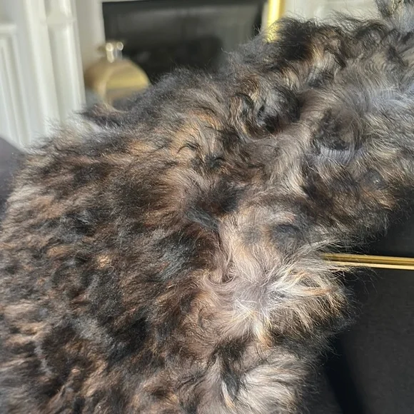 Coach Charcoal Coat with Faux Fur Collar - Picture 3 of 6